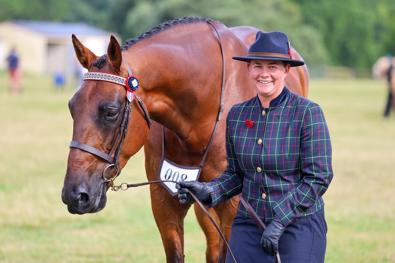 Standardbred showing