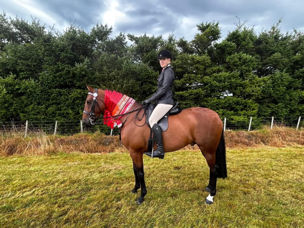 Rider on a bay Standardbred wearing a red champion sash in a hillside paddock