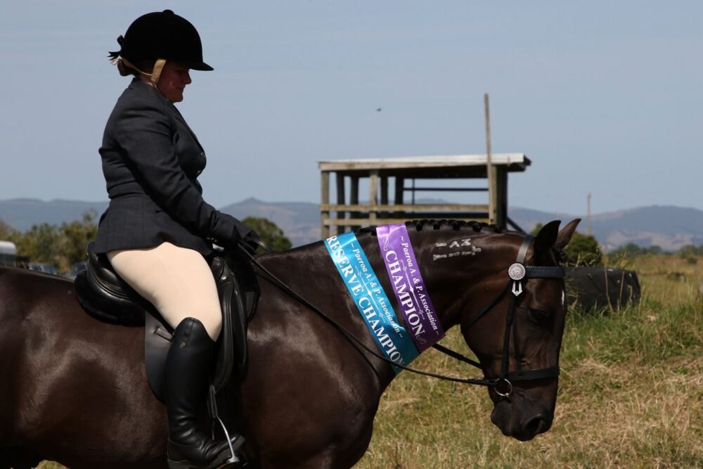 Rider on a dark brown Standardbred carrying Paeroa A and P champion and reserve champion sashes